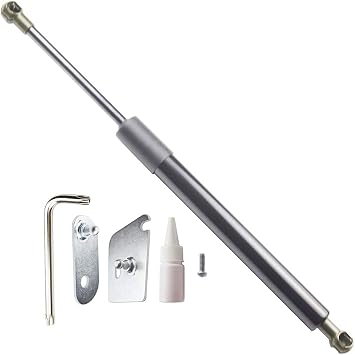 Truck Tailgate Assist Shock Strut DZ43204 fit Ford F-150 2015 2016 2017 2018 2019 2020 2021 2022