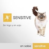 Ver la foto 4