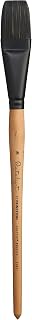 Princeton Catalyst, Series 6400, Long-Handle Synthetic Polytip Bristle Paint Brush, Flat, 16