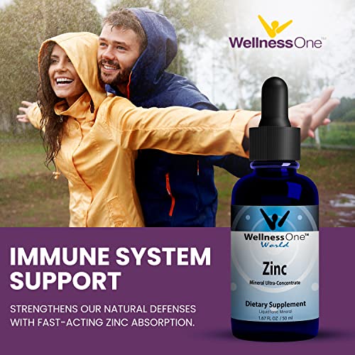 Wellnessone Ionic Zinc Liquid - Immune Support, Skin Care Zinc Supplements For Kids & Adult 100 Day Supply - 15 Mg Zinc Sulfate - Easy To Swallow Liquid Zinc Drops - 50 Ml 1.6 Fl Oz. #TOP3
