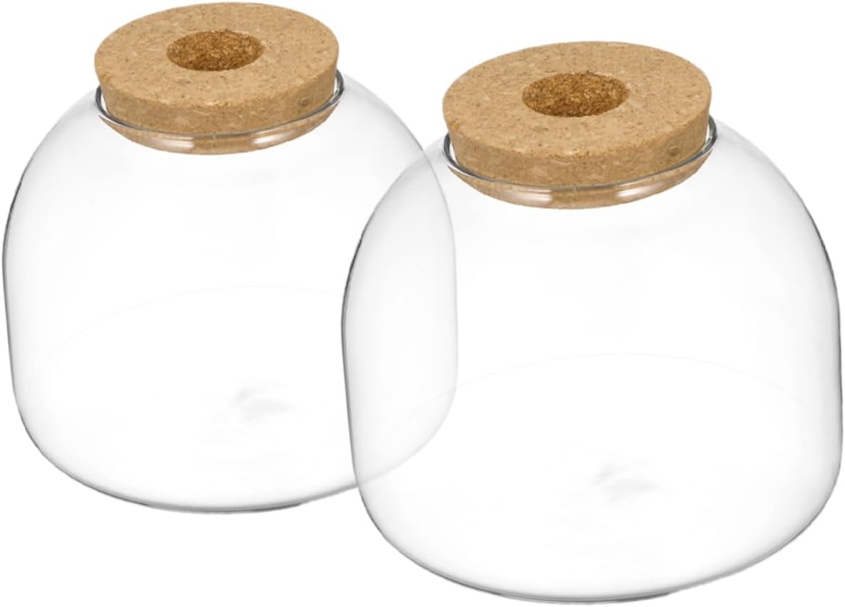2Pcs Bottle with Stopper Micro Landscape Terrarium Jar for Home Decor Plant Display and Betta Fish Transparent Canister for Indoor Use