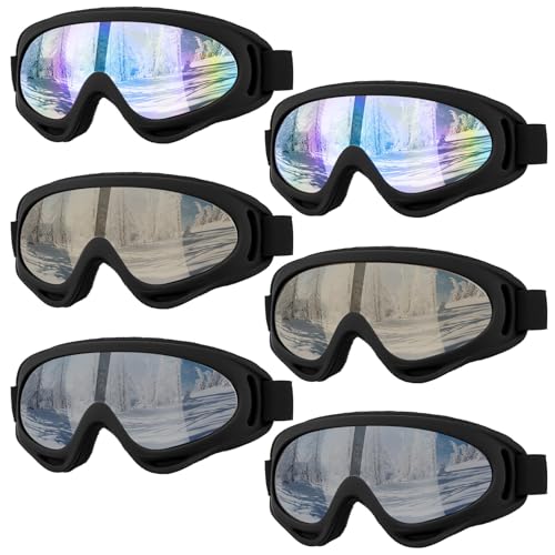 6 Pack Ski Goggles for Men Women and Youth