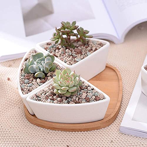Macetas de cerámica con base modular de bambú para composición de plantas 3
