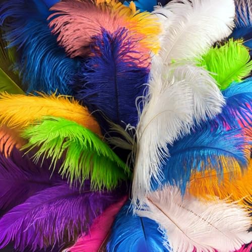 10Pcs Bulk Natural Colorful Ostrich Feathers 8-10 inch (20-25cm) Beautiful Long Feather for Crafts Wedding Centerpieces Party Home Decoration Dress and Christmas DIY (Colorful 8-10in)