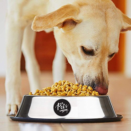 Image of The Pets Company Stainless Steel Dog Feeding Bowl, Small Dogs (Set of 2)