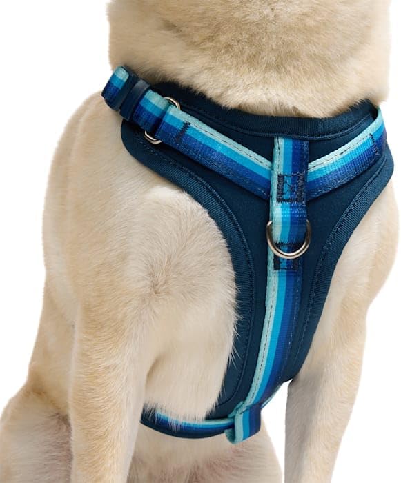 YOULY by Petco Comfort Neoprene Dog Harness Blue Large