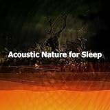 Jungle Sound Productions