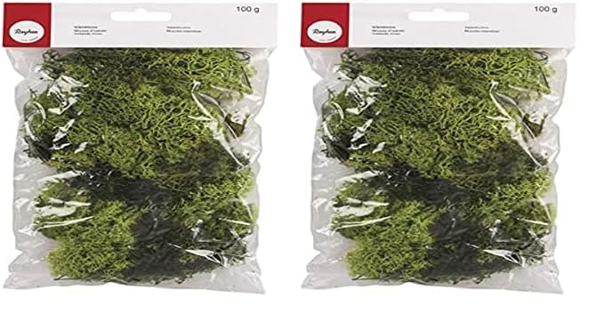 Rayher 8503211 Islandmoos, hellgrün, Btl. 100 g, echtes Natur-Moos (Island), konserviert, gereinigt, zum Basteln, Deko-Moos zu Ostern, Weihnachten, für den Modellbau (Packung mit 2)