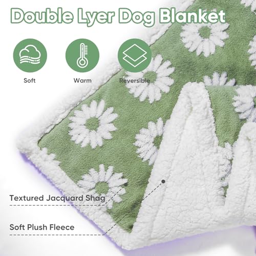 Image of Dog Blanket for Small Medium Large Dogs Fleece Cat Blankets for Indoor Cats Washable Fluffy Pet Bed Blanket Furniture Sofa Couch Cover Protector