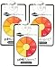 (3 Pack) Seachem Ph Alert for Freshwater