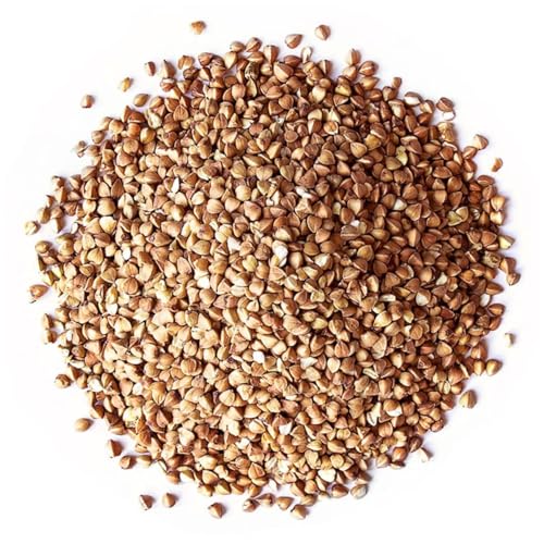 Bongiovanni Bontà Naturali Cous Cous 100% Trigo Sarraceno 5kg ECOLÓGICO Sin Gluten