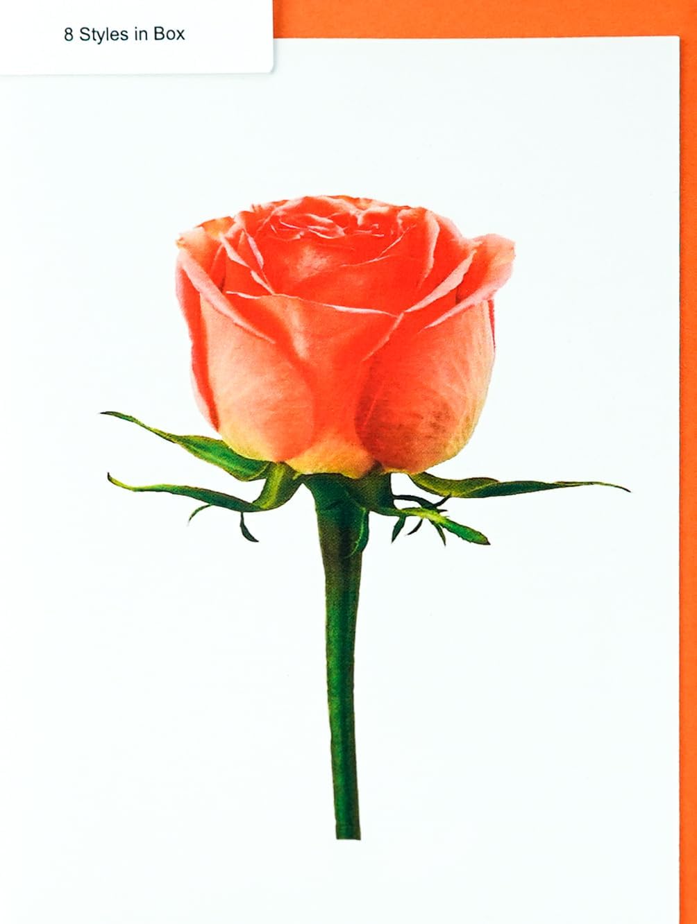 Blooming Roses Assorted High-End Photographic Heavy Smooth Note Cards 8 w/10 Colored Envelopes, Boxed Set (4.25"x 5.50") Blank Inside - Made in USA