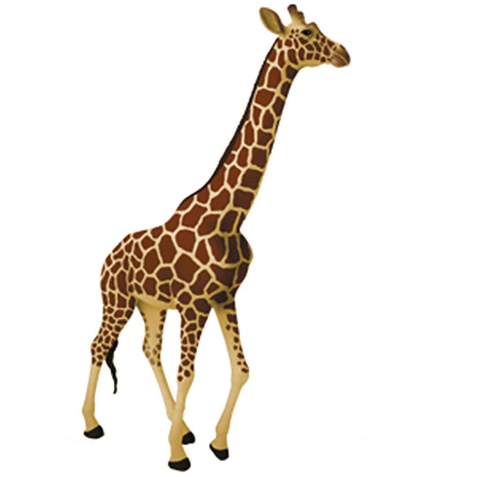 Modèle anatomique de girafe d'enseignement médical animal aux détails précis
