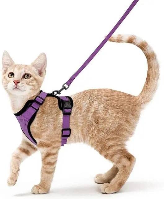 Adjustable Cat Harness Vest Custom Mesh Escape Proof Cat Harness and Leash Set for Walking (S, Purple)
