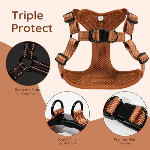 BELLA & PAL Hundegeschirr und Leine Set, Step-in Design mit atmungsaktivem Air-Mesh, reflektierenden Streifen, verstellbar für XS/kleine/mittelgroße Hunde, sicherer Schnallenverschluss
