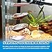 KFPSHLQE 7 Pack Seashells Betta Bed,Betta Resting Spot,Betta Hammock with Suction Cups,Fish Tank Accessories,Small Fish Natural Spawning Grounds Breeding,Fish Tank Aquariums Decorations
