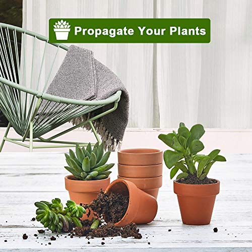 Vensovo 3 Inch Terra Cotta Pots With Drainage thumb #2