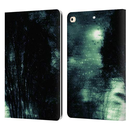 Housse iPad 9.7 anti-rayure Haroulita Obscurité Nature avec fentes pour cartes