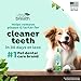 TropiClean Oral Care Brushing Gel for Dogs & Cats| Dog Toothpaste | Pet Dental Gel | Dog Teeth Cleaning Use with Pet Toothbrush | 2 oz