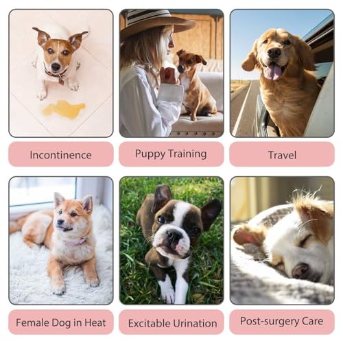 Image of Paw Legend Washable Reusable Female Dog Period Diapers for Heat Doggie Puppy Diapers for Female Dogs (3 Pack,X-Small)