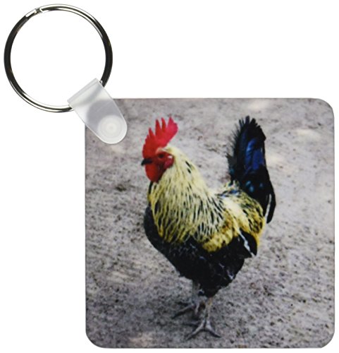 3dRose Rooster - Key Chains, 2.25 x 4.5 inches, set of 2 (kc_4328_1)