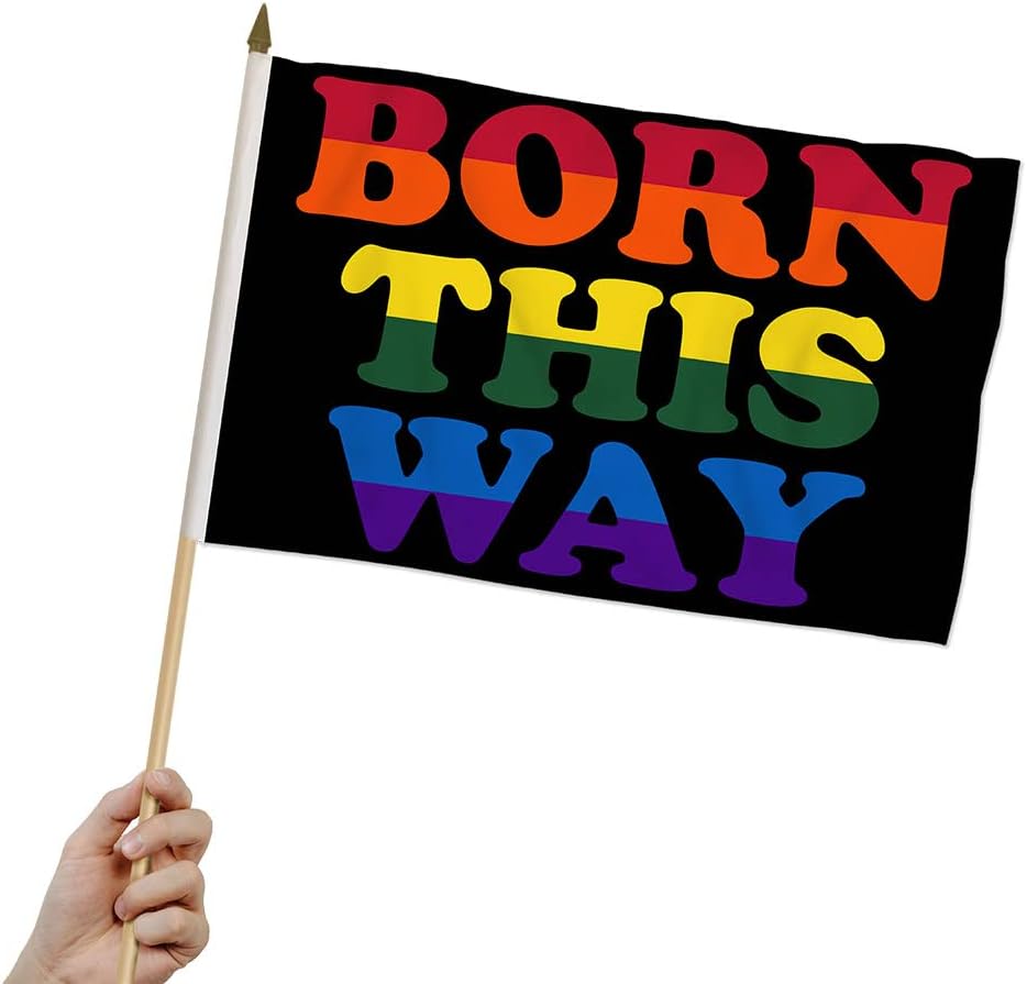 Born This Way Pride 12x18 Stick Flags - One Dozen Pack