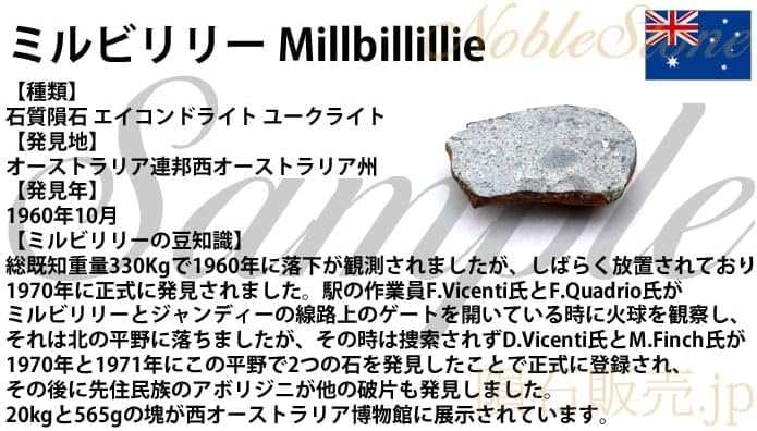 ✨見る！?ミルビリリー隕石 標本 ミルビリリー隕石（Millbillillie）｜化石販売・鉱物販売の東京サイエンス