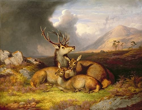 Affiche toile Highland Felicity Ben Lebrig impression dart haut de gamme decoration 60x90cm
