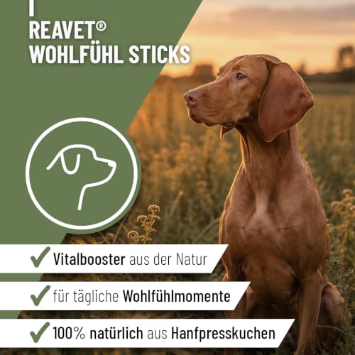 ReaVET Hunde Leckerlis mit Hanf 400g, Wohlfühl Sticks - Natürliche Beruhigung & Entspannung bei Angst oder Stress - Hundeleckerlis, Hundekekse aus Hanfpresskuchen getreidefrei & naturbelassen