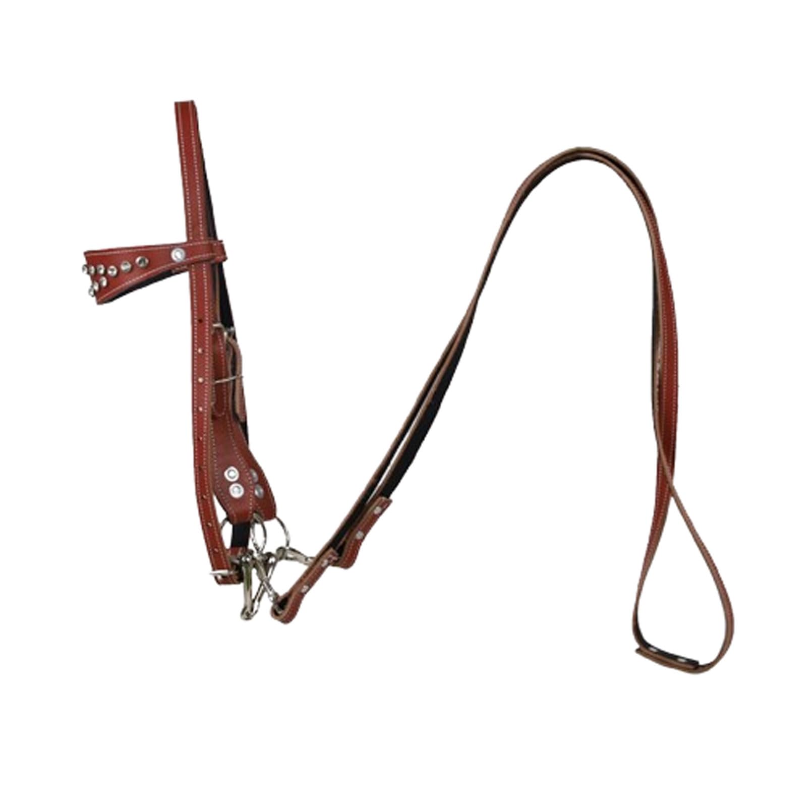 Cavezza Cavallo,Cavezza Regolabile,Briglia Cavallo,Capezze libere ergonomiche e comode,Attrezzatura equestre,per Scuderia,Gara,Allenamento,Corsa Quotidiana