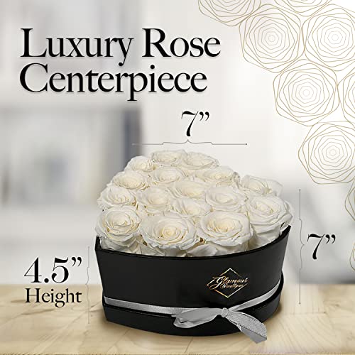 Glamour Boutique 16-Piece Forever Flowers Heart Shape Box - Preserved Roses, Immortal Roses That Last A Year - Eternal Rose Preserved Flowers For Delivery Prime Mothers Day & Valentines Day - White #TOP6