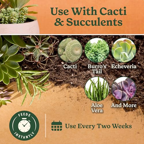 Miracle-Gro alimento líquido para cactus y suculentas 3 pack miniatura 3