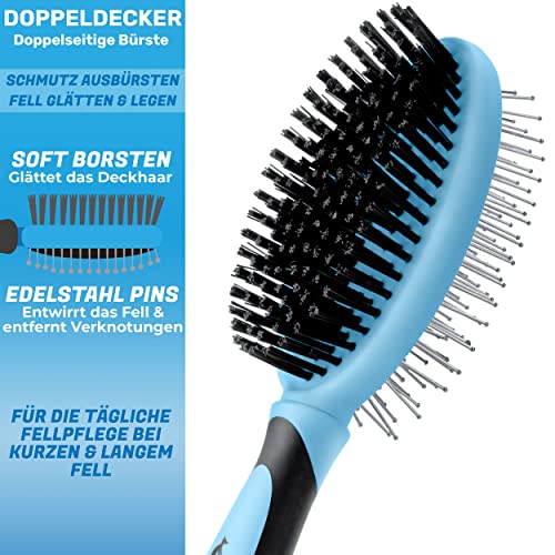 BluePet 2in1 Hundebürste für Langhaar & Kurzhaar Auch für Welpen & Katzen I Glätten, Entwirren, Ausbürsten I Das Allround-Talent Borstenbürste (Blau, M-L)