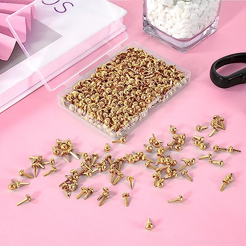 Fermacampioni Piccoli Mini Brads Metallo Elementi