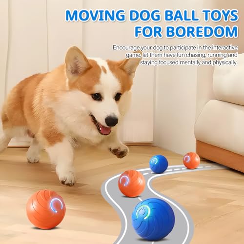 xinrongda 2 Stück Interaktives Hundespielzeug, Interaktiver Spielball für Hunde, Elektrisch Magic Ball, Intelligentes Hundespielzeug mit LED-Lichtern, interaktiver Ballfür Welpen, Klein