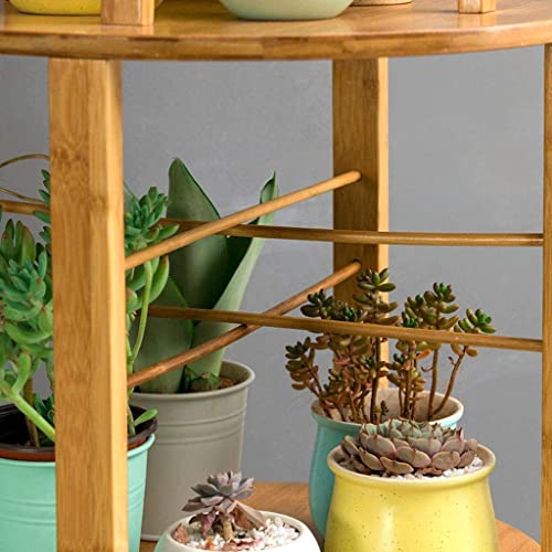 Support de plante de sol à plusieurs niveaux pour petits espaces - 6