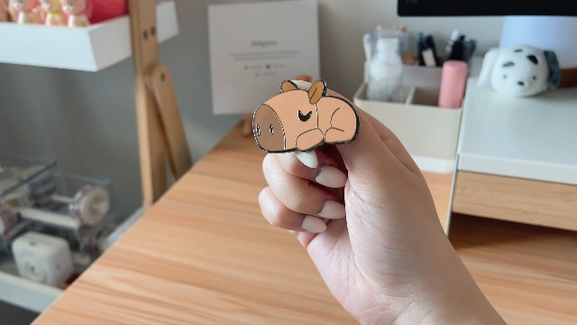Amazon.com: Youtooz Capybara Pin Set, Official Licensed Capybara