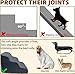 Trhillsbrad Breiter Hundetreppe 5 Stufen 62cm hoch für Kleine Hunde, Hochdichtem Schaumstoff Haustiertreppe, Waschbarem Bezug und Rutschfestem Boden