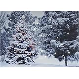 Christmas Tree in Forest LED Lighted Canvas Pictures with Timer, for Tabletop Decor, Small Wall Canvas Paintings Art 6'x8', Light up Print Nightlight with Optic Fiber Lights Built In, Run by Batteries