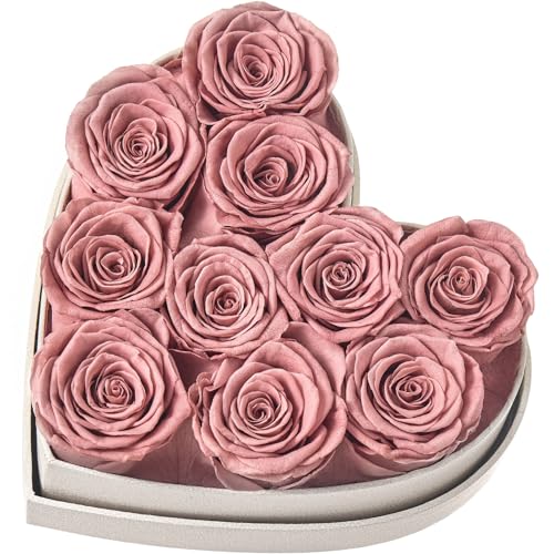 Beaulasting Roses Forever Flowers in Heart Shape Box 10-Piece Handmade Preserved Roses Last Over a Year Eternal Roses Gift for Wife Mothers Day Valentines Day (Golden Pattern Box, Dusty Pink Roses)