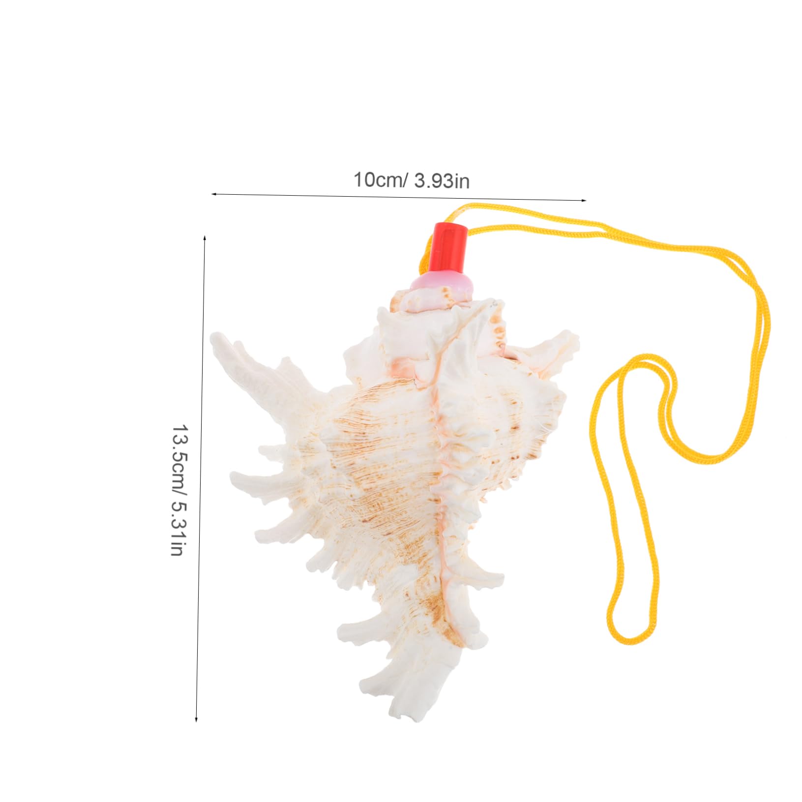 BESPORTBLE Decorative Conch Shaped Whistle Unique Natural Conch Shell Horn for Home Decor and Celebrations Stylish Aesthetic Plaything Long Versatile Whistle for Events