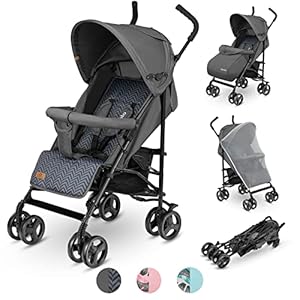 LIONELO Elia Lichtgewicht Buggy tot 15 kg van 6 maanden tot ca. 3 jaar, Kinderwagen, Wandelwagen met Muskietennet…