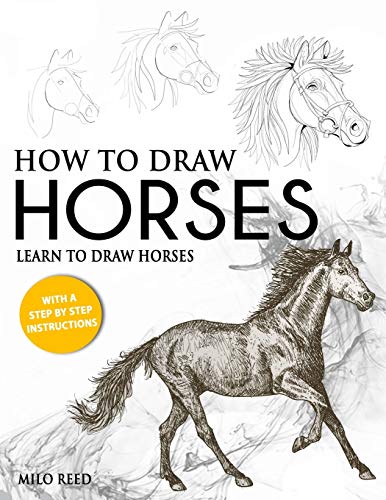 how to draw horses and ponies - How to Draw Horses: Learn to Draw Horses with a Step by Step Instructions