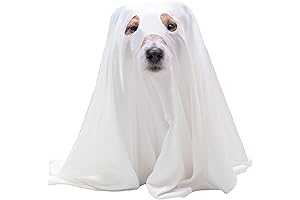 Ghost Dog Costume for Unforgettable Halloween