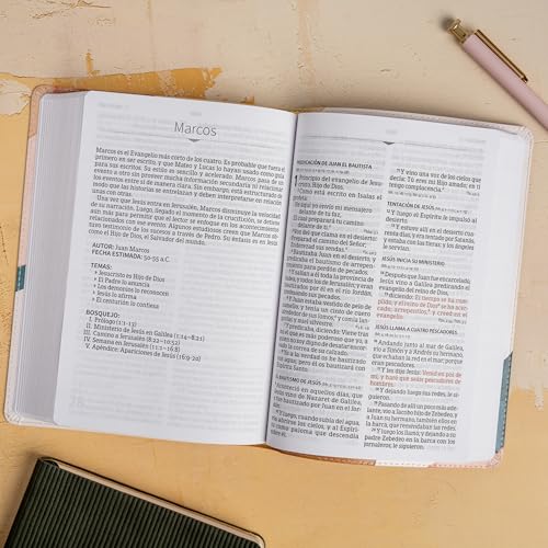 RVR 1960 Biblia letra grande tamaño manual edición especial, acuarela, símil piel (RVR 1960 Hand Size Giant Print, Watercolor, LeatherTouch, Special Edition) (Spanish Edition) - image 3