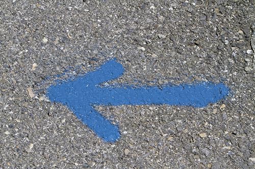 Image of Rust-Oleum Caution Blue 2524838 Professional Inverted Marking Spray Paint, 15 oz., (Pack of 1)