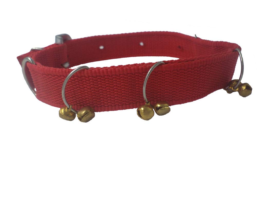 Petlia Dog and Cat Pet Nylon Collar Dogs Collars with bell 1 Piece Size – 1 inch Small , Nylon, (Pack of 1) (B091RMQH2T) Amazon Price History, Amazon Price Tracker