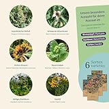 Zoom IMG-1 magic garden seeds piante magiche Zoom IMG-1 magic garden seeds piante magiche