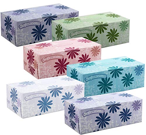 Tiger Chef Facial Tissues - 160 Tissues Per Box - 6 Tissue Boxes