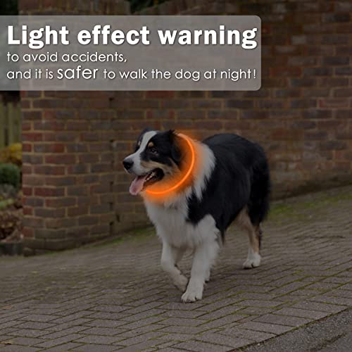 Coolzon LED Leuchthalsband Hundehalsband Aufladbar, Wasserdicht Halsband Hund 3 Modi Längenverstellbareres Super Helle Kalsband Katze und Hunde Klein Groß Mittel, Orange